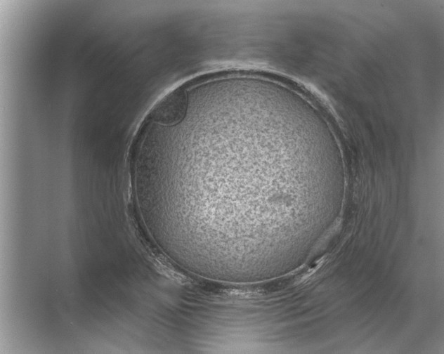 X0000071801271200607150137