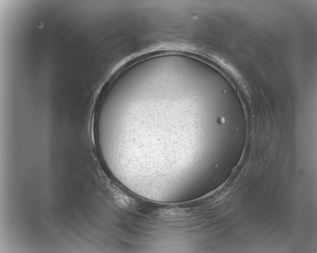 X0000071801272200607150137