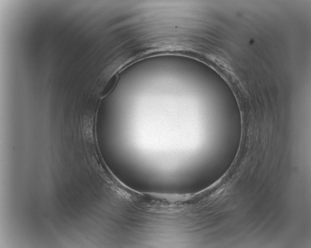 X0000071801273200607150137