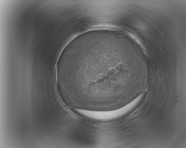 X0000071801275200607150137