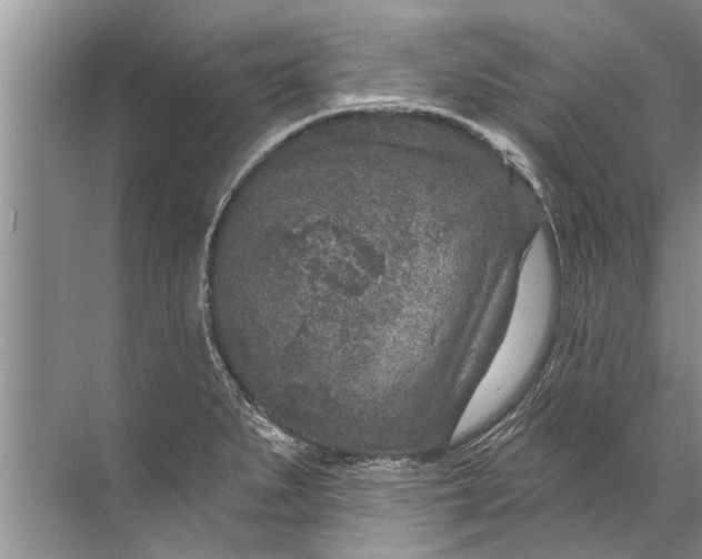 X0000071801279200607150137