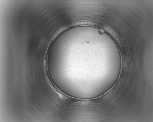 X0000071801282200607150137