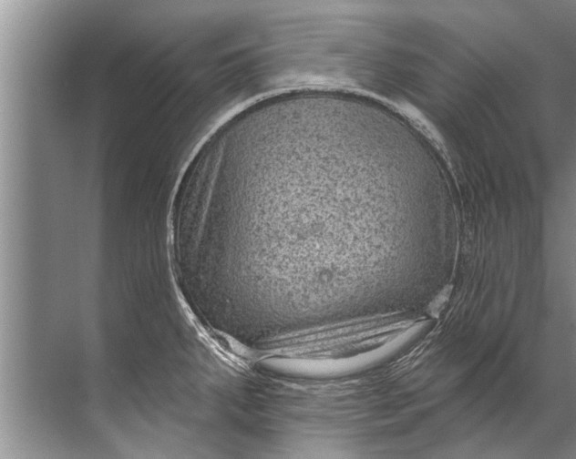 X0000071801287200607150137