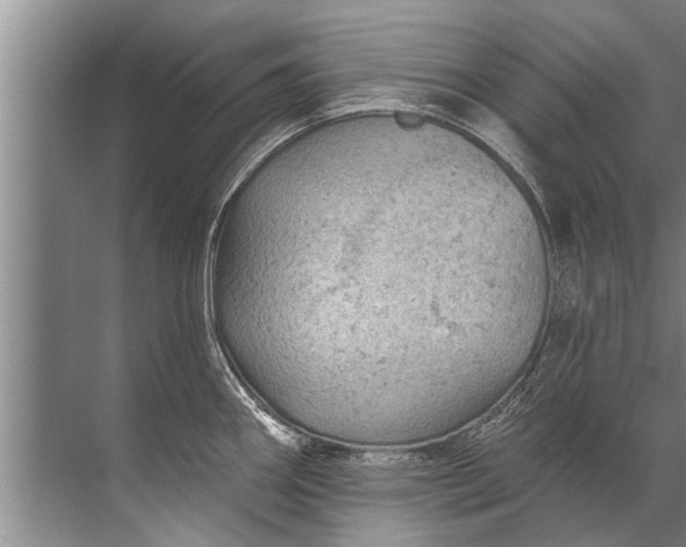 X0000071801290200607150137