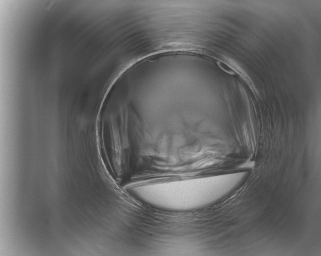 X0000071801291200607150137