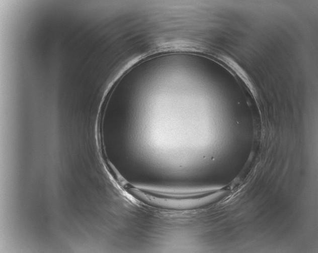 X0000071801293200607150137