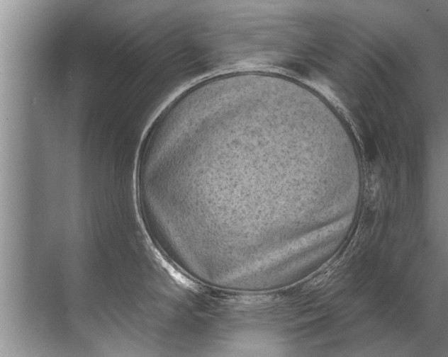 X0000071801294200607150137