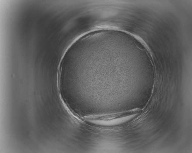 X0000071801295200607150137