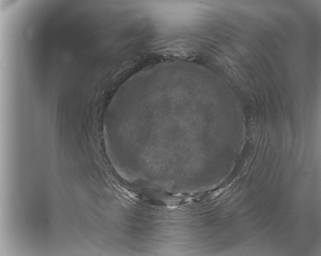 X0000071801297200607150136