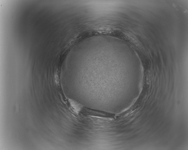 X0000071801298200607150136