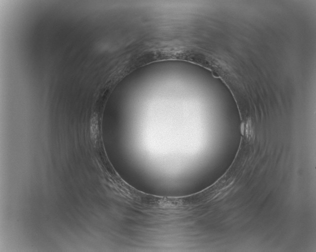 X0000071801299200607150136