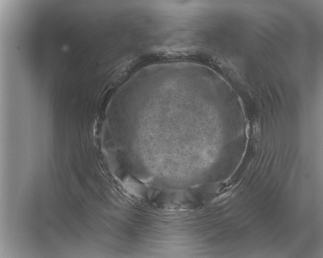 X0000071801300200607150136