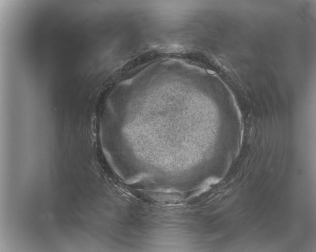 X0000071801301200607150136