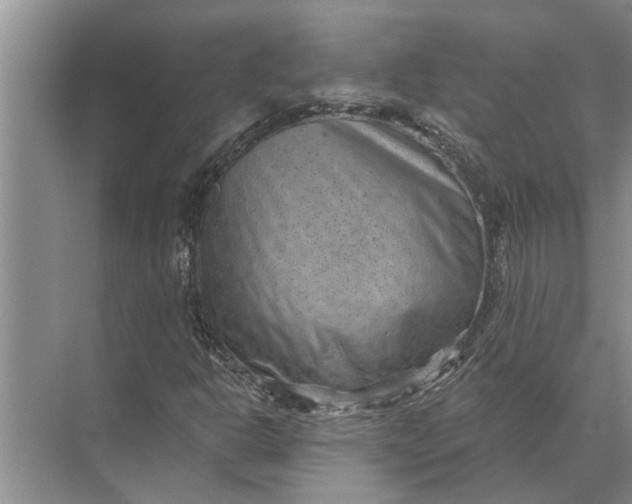 X0000071801302200607150136