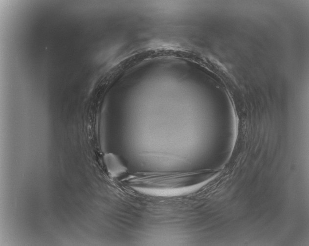 X0000071801303200607150136