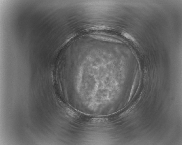 X0000071801305200607150136