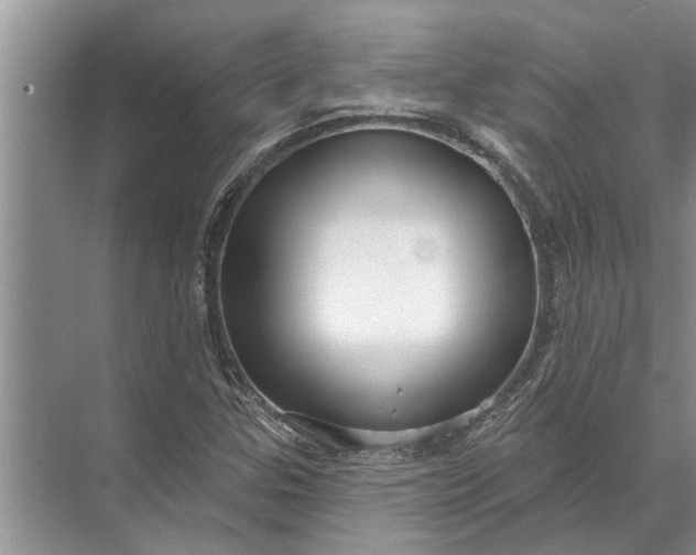 X0000071801307200607150136