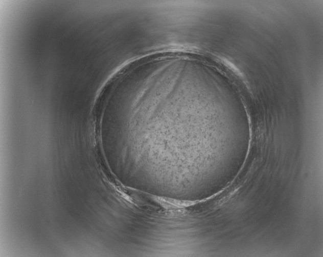 X0000071801310200607150136