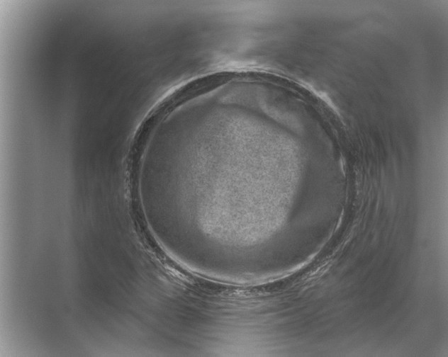 X0000071801311200607150136