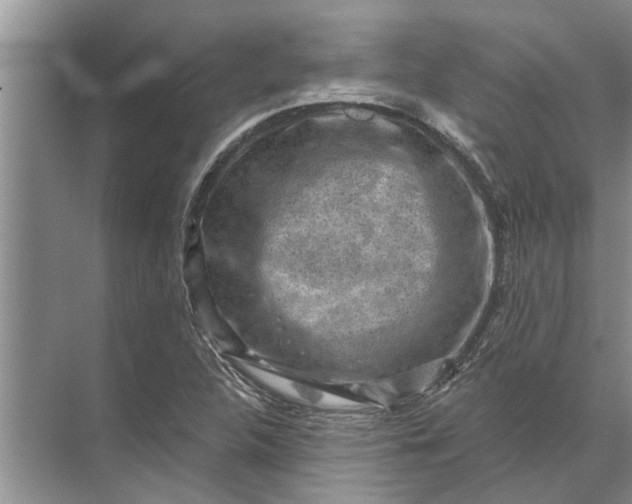 X0000071801312200607150136