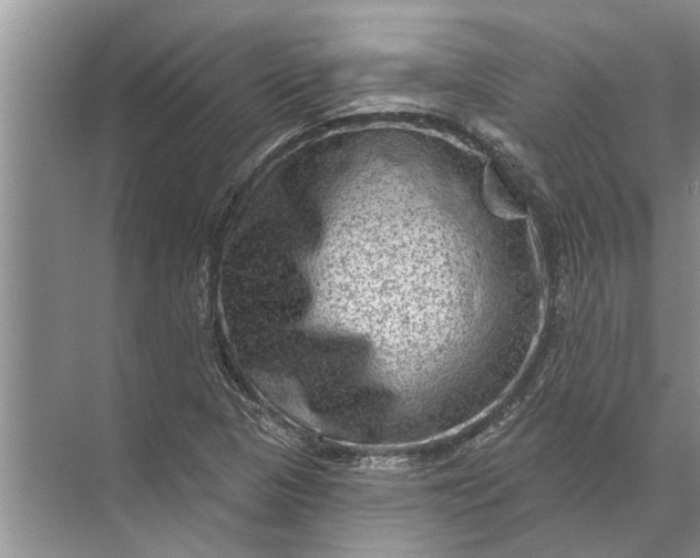 X0000071801313200607150136