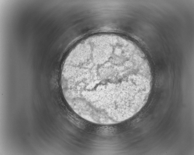 X0000071801314200607150136