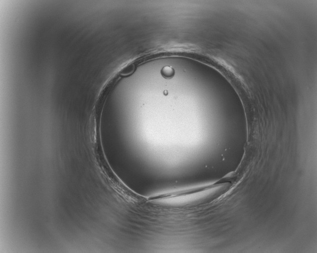 X0000071801317200607150136