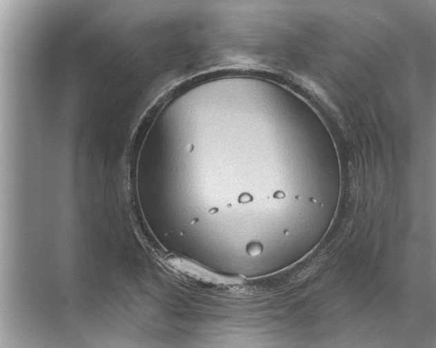 X0000071801318200607150136