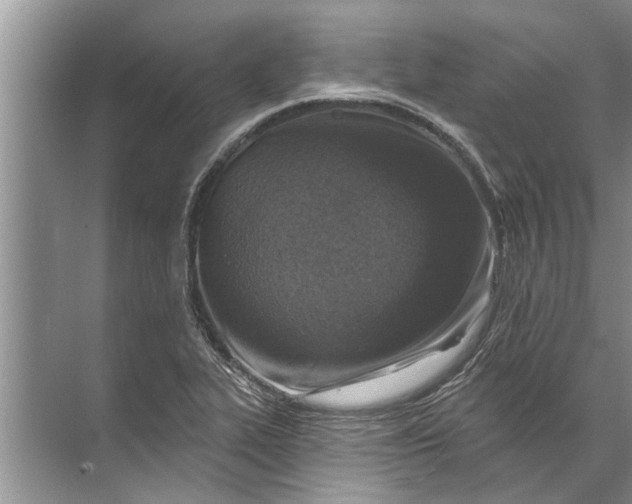 X0000071801319200607150136