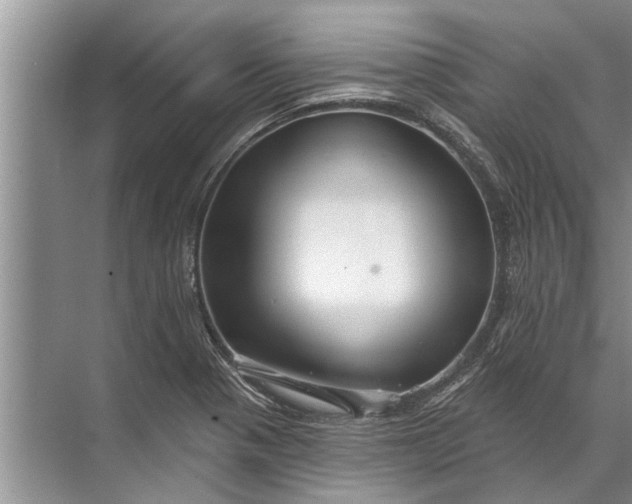 X0000071801321200607150136