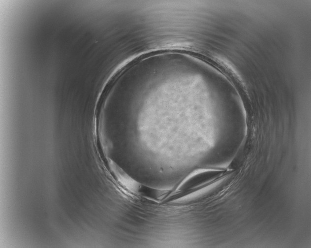 X0000071801324200607150136