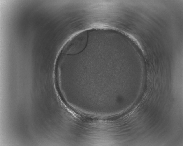 X0000071801327200607150136