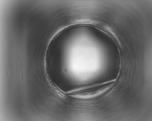 X0000071801328200607150136