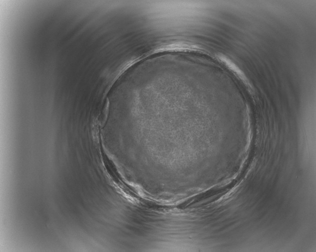 X0000071801329200607150137