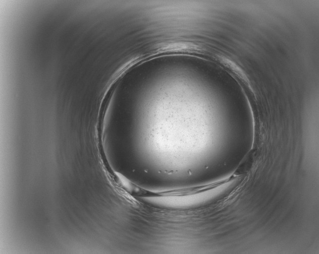 X0000071801330200607150137