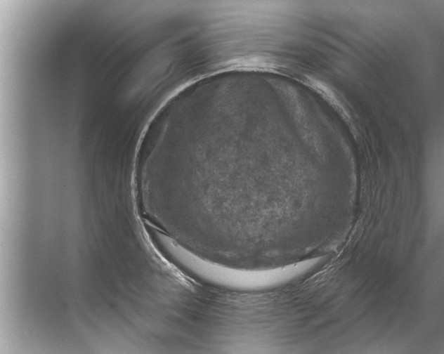 X0000071801331200607150137