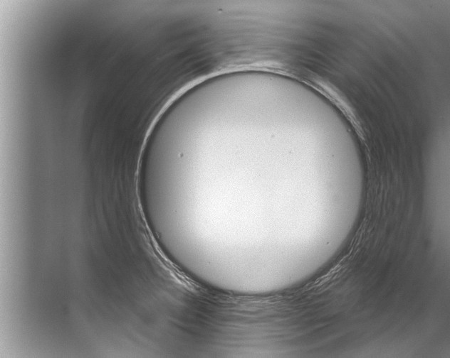 X0000071801332200607150137