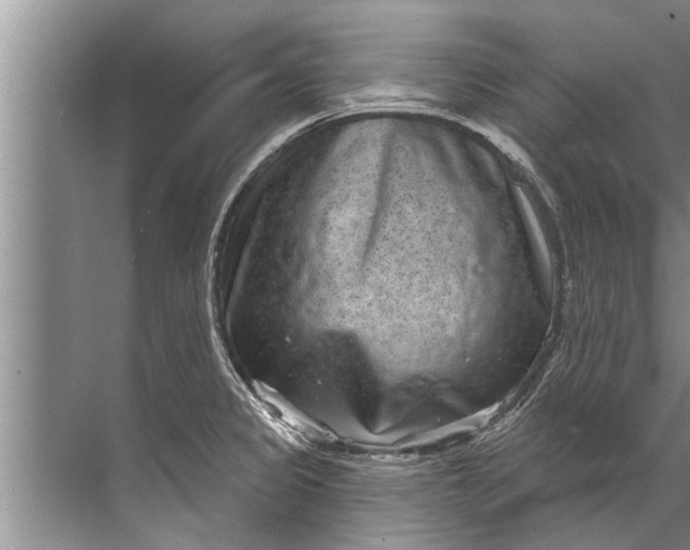 X0000071801333200607150137