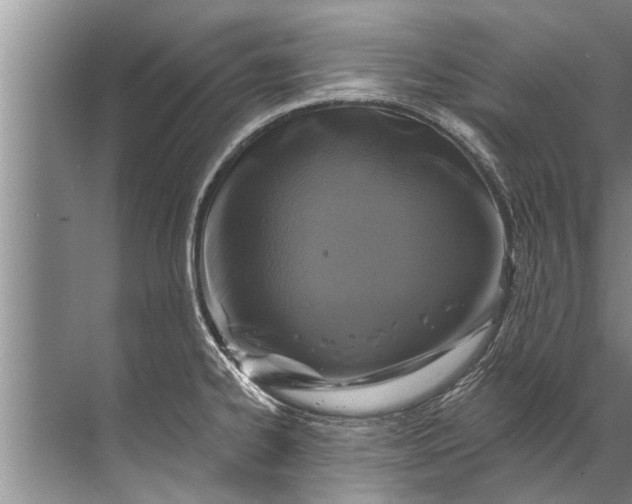 X0000071801334200607150137