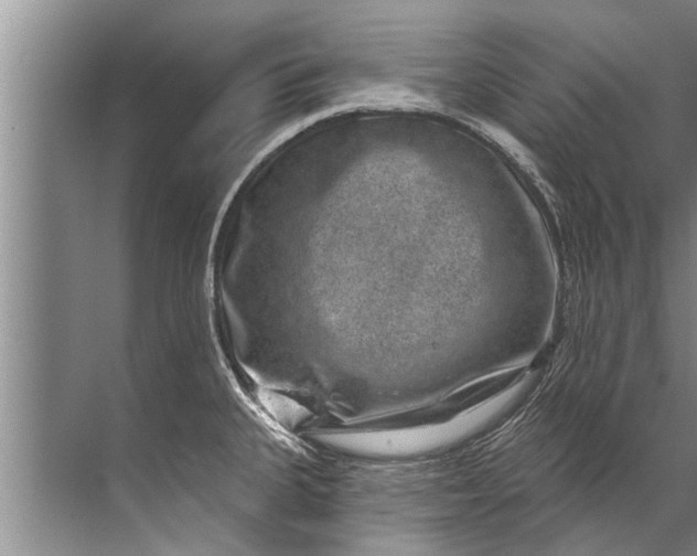 X0000071801335200607150137