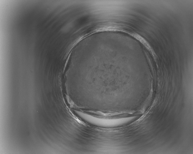 X0000071801337200607150137