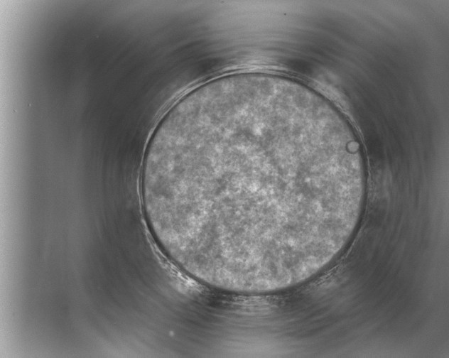 X0000071801338200607150137