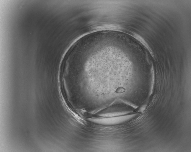 X0000071801339200607150137