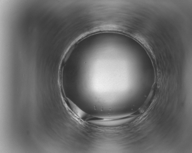 X0000071801342200607150137