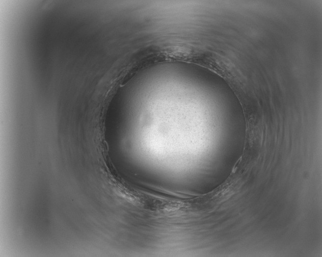 X0000071801345200607150136