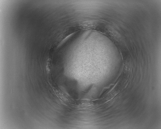 X0000071801346200607150136