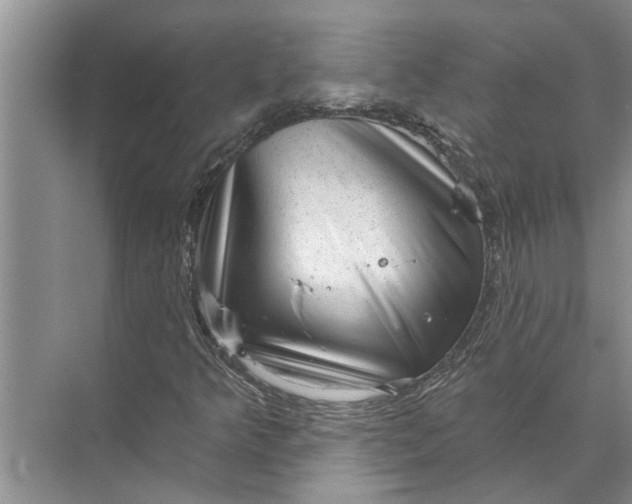 X0000071801349200607150136