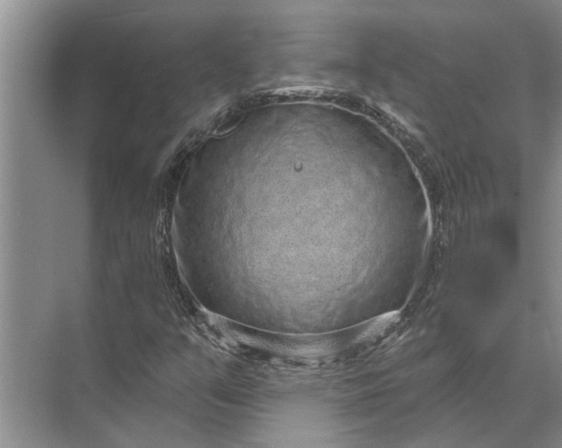 X0000071801351200607150136