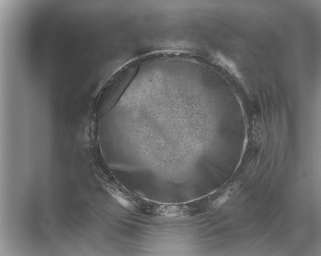 X0000071801352200607150136