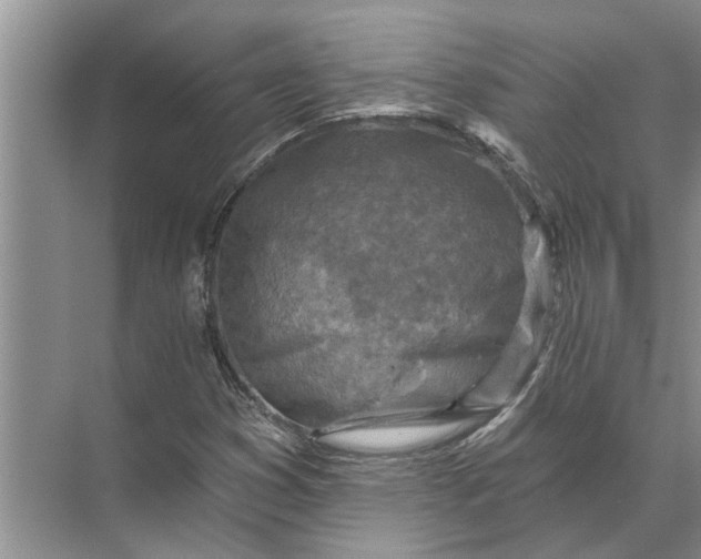 X0000071801353200607150136